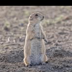 Aaron Manley - Facebook