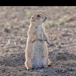 Aaron Manley - @aaron.manley.777 - Instagram