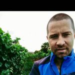 Aaron Manley - @aaronpjmanley - Instagram