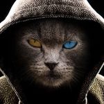 Aaron Manriquez - @aaron.manriquez.984 - Instagram