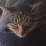 Aaron Manser - @aaronmanser1 - Instagram