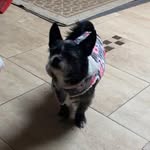 Aaron Manzo - @manzo_aaron - Instagram