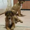 ron_marbach - @ron_marbach - TikTok