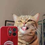 Aaron Marcelo - @a.marcelo6890 - Instagram