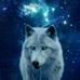 Aaron Marcano - Facebook