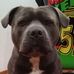 Aaron Marini - Facebook
