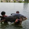 Aaron Markland - @aaron.markland - TikTok