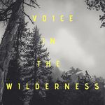 Aaron Marler - @voiceinthewilderness_podcast - Instagram