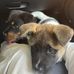 Aaron &amp; Marley - Facebook