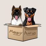 Aaron & Marley - @american.rottweiler - Instagram