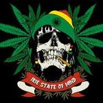 Aaron Marley - @aaronmarley2084 - Instagram