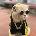 Erwin Manstein - Facebook