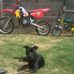Arron Marriott - Facebook