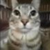 Aaron Martel - Facebook
