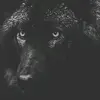 Aaron Mathews - @wolf_pack_0410 - TikTok