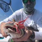Aaron Mattox - Facebook