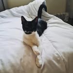 Aaron Mccall - @2526_aaron - Instagram