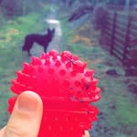 Aaron Mccall - @aaronmccall1324 - Instagram