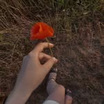 Aaron Mcclamy - @aaron.mcclamy - Instagram