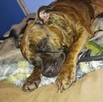 Aaron Mcculley - Facebook