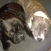 Aaron Mcculley - Facebook