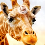 Aaron McDermott - @aaronmcdermott6078 - Instagram