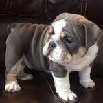 aaronmcnutt - @aaronmcnutt7 - Instagram