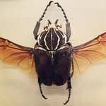 Aaron - @aaron_meade_ - Instagram