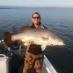 Aaron Mealing - @aaronmealing - Instagram