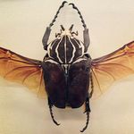 Aaron - @aaron_meade_ - Instagram