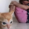 aaron meal - @thaleaaron - TikTok