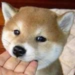 Aaron Means - @means.aaron - Instagram