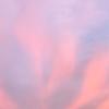 Aaron Meche - @aaron.meche - TikTok