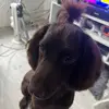 Aaron Meehan490 - @aaronmeehan1 - TikTok