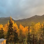 AAron - @aaron_mehl007 - Instagram