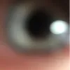 aaronweininger199 - @aaronweininger199 - TikTok