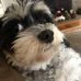 Aaron Melick - Facebook