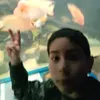 aaron mell - @aaron.mell5 - TikTok