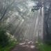 Aaron Mellinger - Facebook
