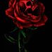 Aaron Melvin - Facebook