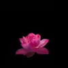 aron._p162523 - @aron._mentzer - TikTok