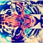 Aaron Meraz - @aaron.meraz.965 - Instagram