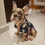 Aaron - @aaron.merlinnn - Instagram
