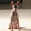 Aaron Miguel - @aaron.miguel61 - TikTok