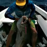 Aaron Miguel Jong Sánchez - @jongsanchezaaronmiguel - Instagram