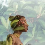 Aaron Millard - @aaron_millard46497626 - Instagram