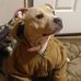 Aaron Mohler - Facebook