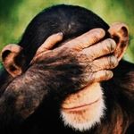 Aaron - @aaron_monkey_ - Instagram
