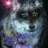 Aaron Morin825 - @aaron8250 - TikTok