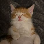 Aaron Morin - @sochilled_ - Instagram